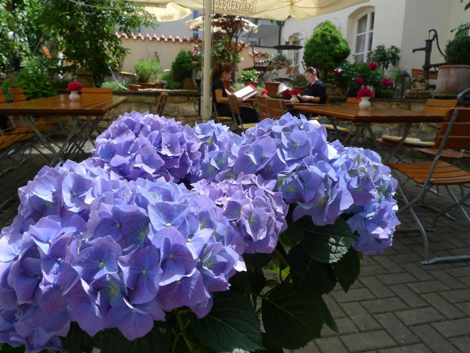 Hotel-Restaurant Roter Ochsen Lauchheim Kültér fotó